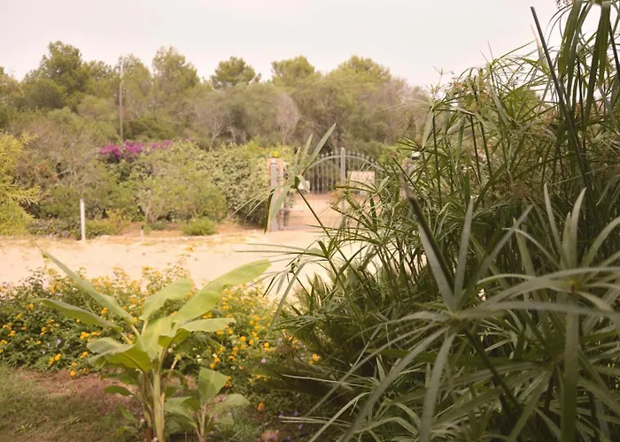 Hotel all'aeroporto: Spiaggia Lazzarettohouse