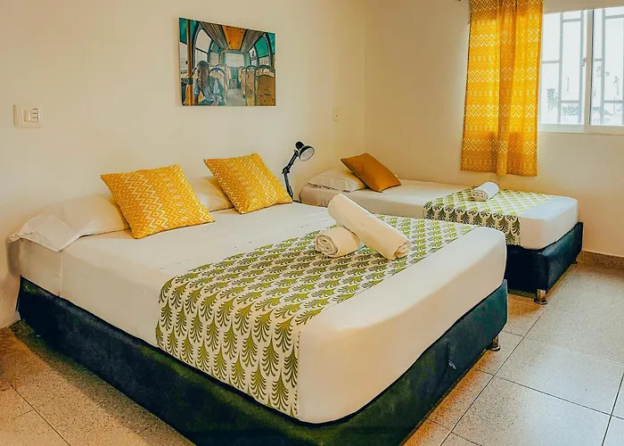 Hotel que admite mascotas: Viajero Hostel San Andres