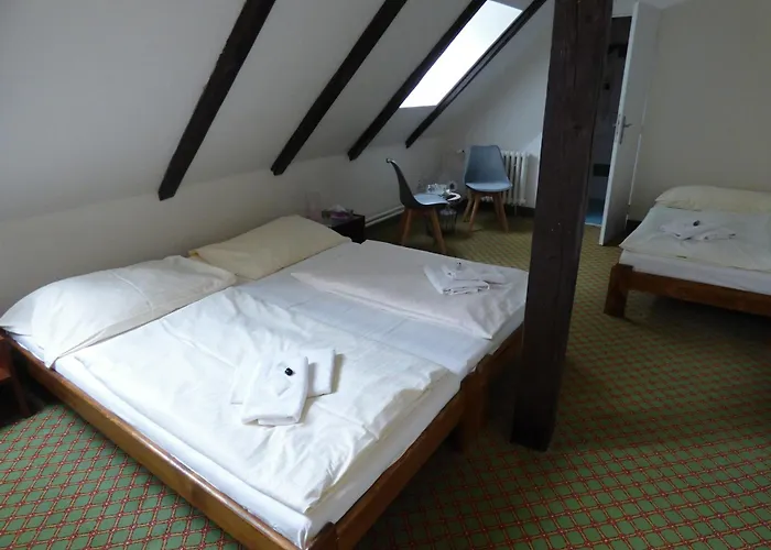Günstiges Hotel: Hotel Svornost