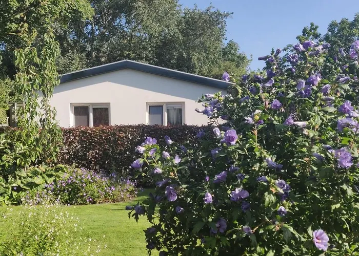 Vakantiebungalow Texel