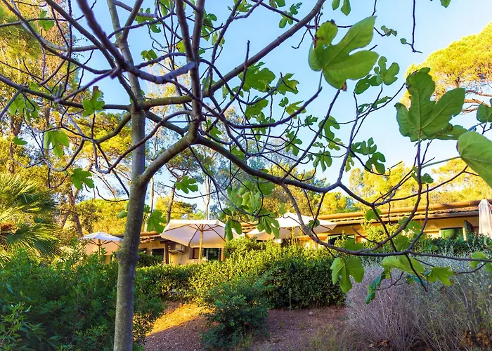 Hotel con vista: Hotel Villa Ottone