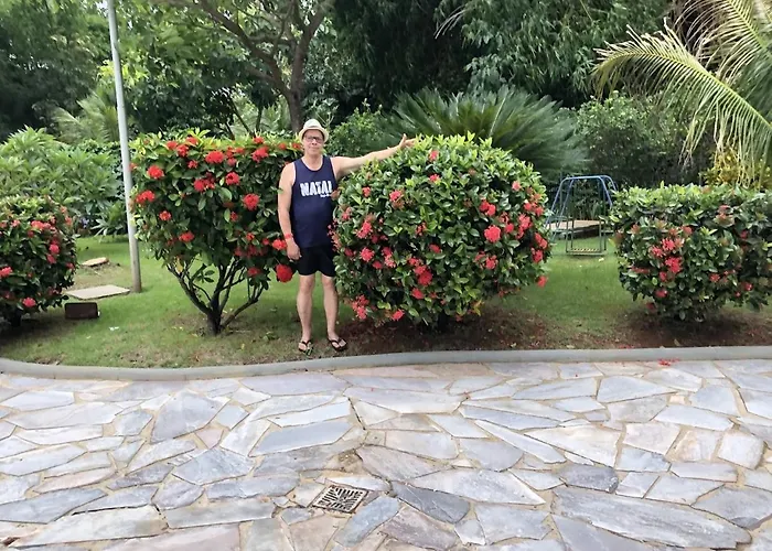 Golden Dolphin Express