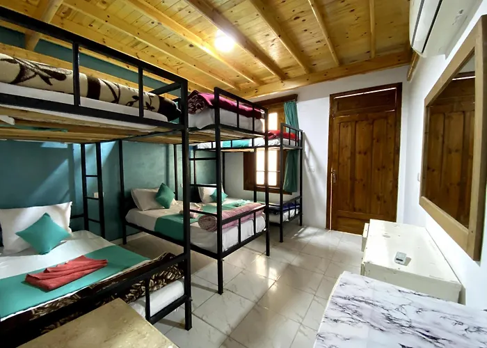 Octopus Hotel