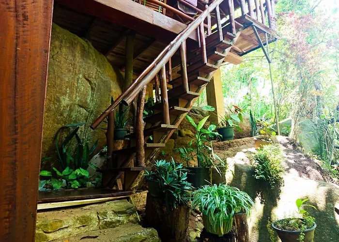 Jungle Face Inn