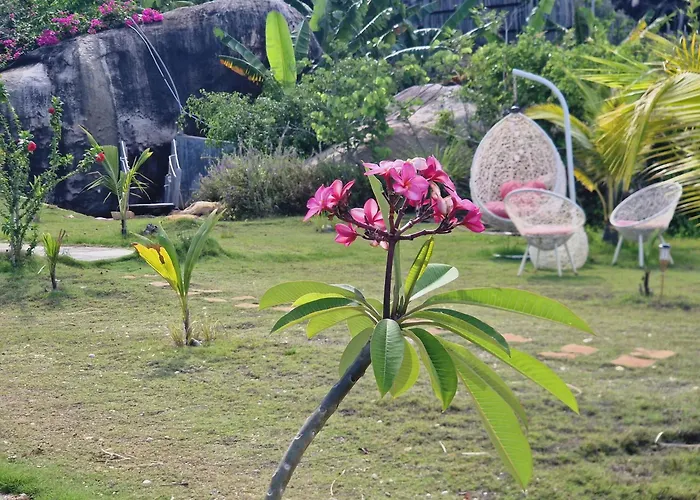 Butterfly Rose Beach Resort Phu Quoc Francophone