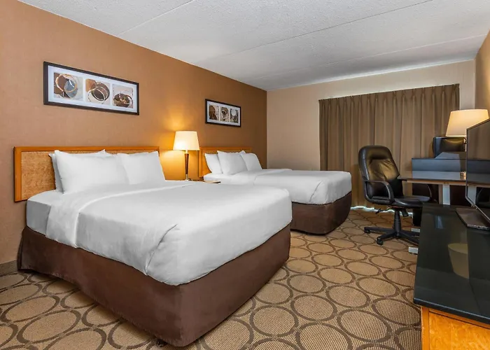 Comfort South