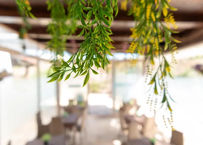 B&B Agriturismo Tenuta Barone