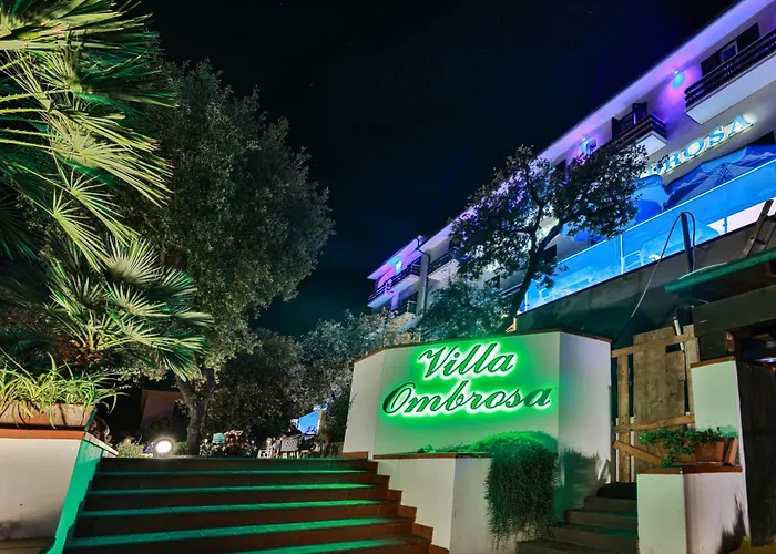 Hotel adatto agli animali: Hotel Villa Ombrosa