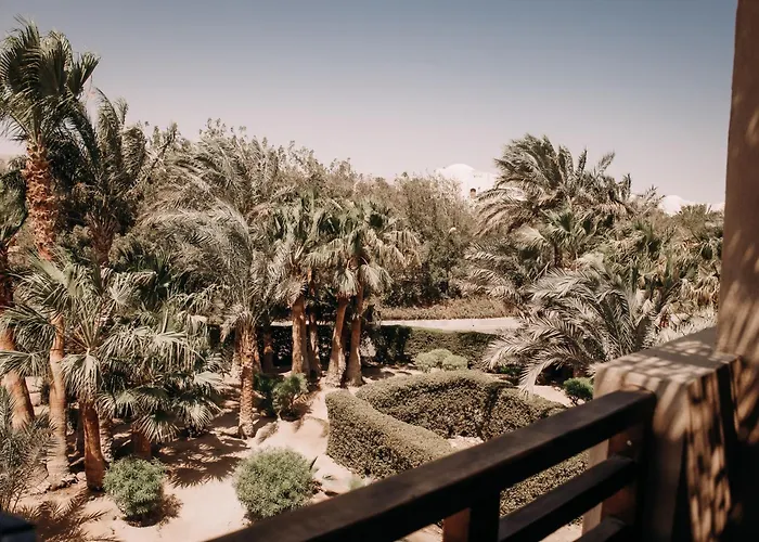 Cook'S Club El Gouna (Adults Only)