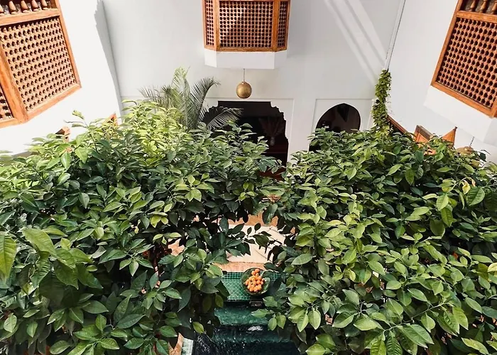 Riad privé Sadaka Bassin Rooftop