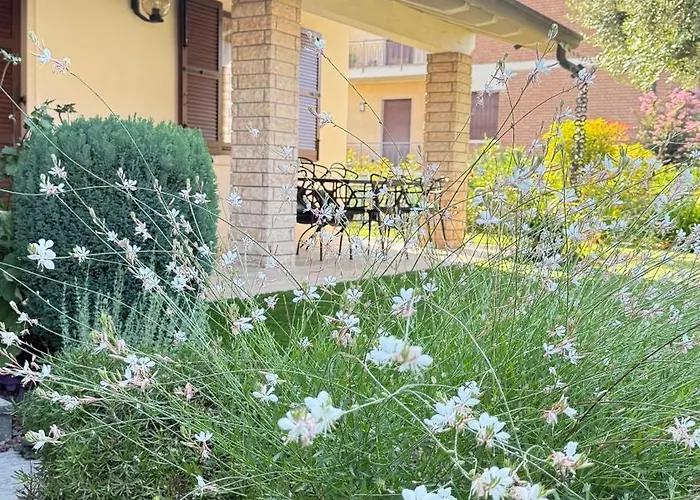 Ai Fiori