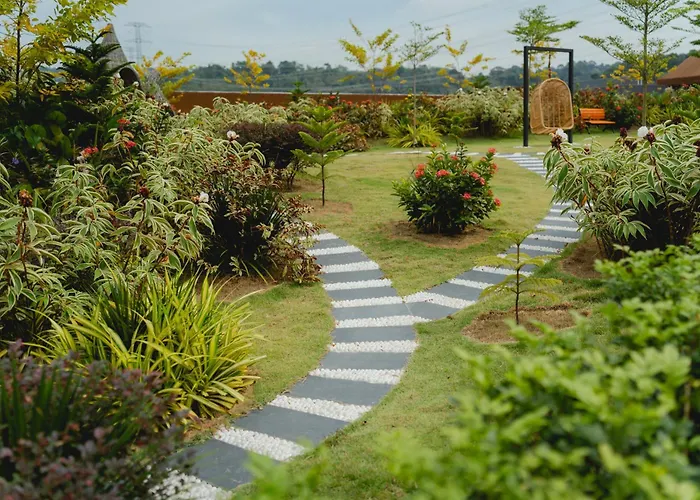 Monkeys Canopy Resort