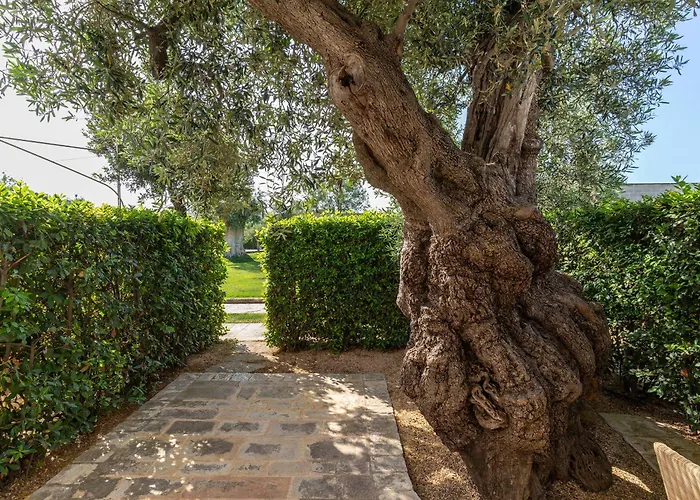 Masseria Torre Del Diamante