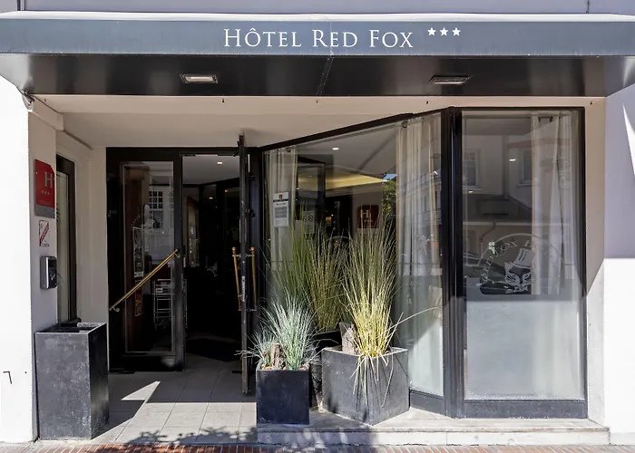 Animaux admis Red Fox