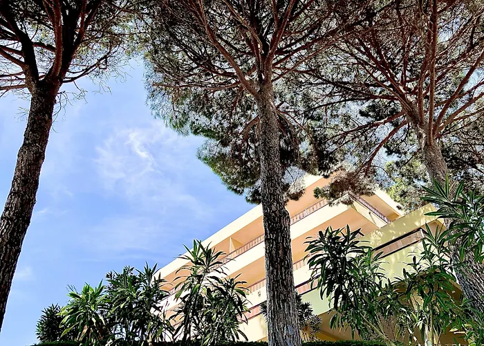 Hotel con tenis: Almadraba Park Hotel