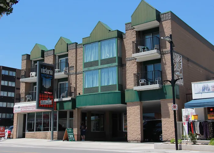 Hotel near College: Victoria Motor Inn