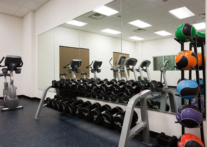 Holiday Inn At The American Center By Ihg