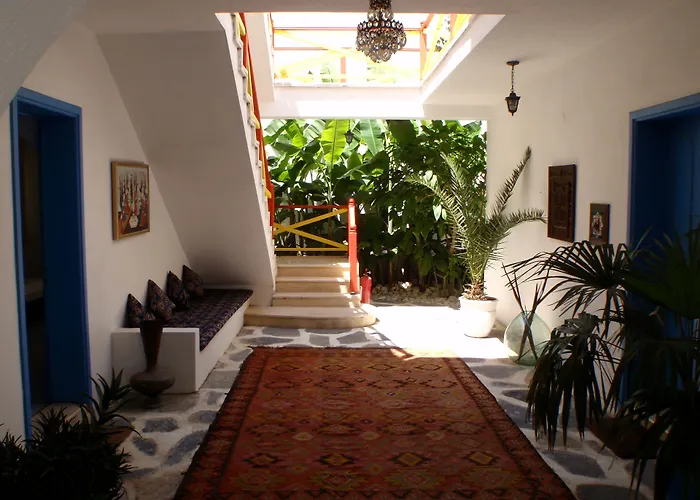Animaux admis Su - Bodrum