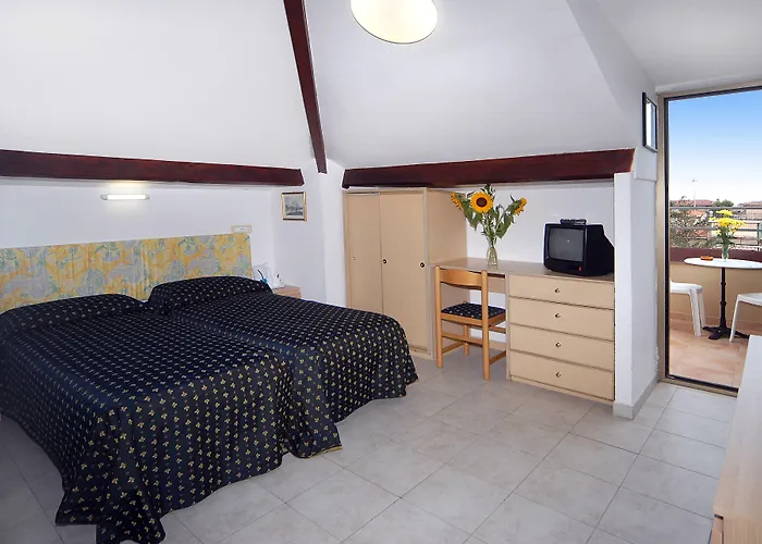 Hotel familiare: Hotel Delle Mimose