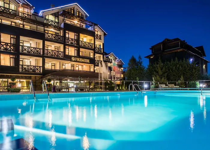 Pet Friendly hotel: Premier Luxury Mountain Resort