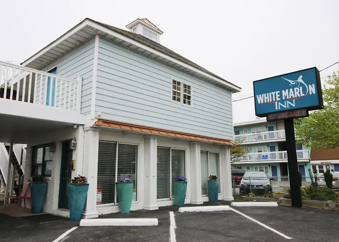 Motel: White Marlin Inn