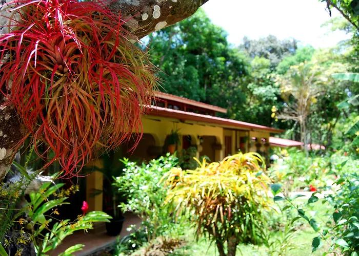 4 star hotel: Jaco Hotel Docelunas