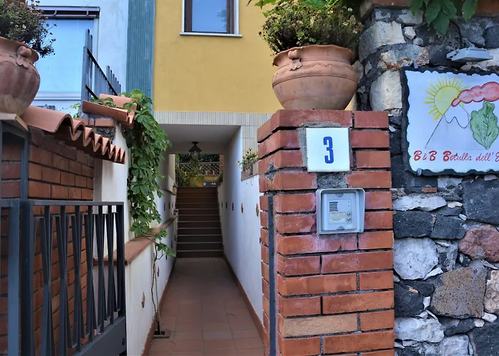 Betulla Dell'Etna