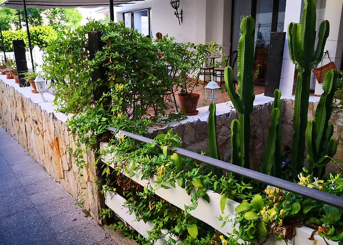 4U Miranda - Adults Only