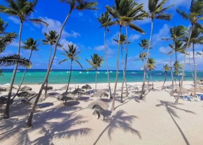 Hotel que admite mascotas: Hotel Marimba Punta Cana