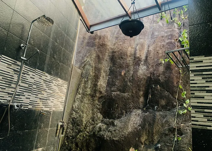 Jungle City Hostel