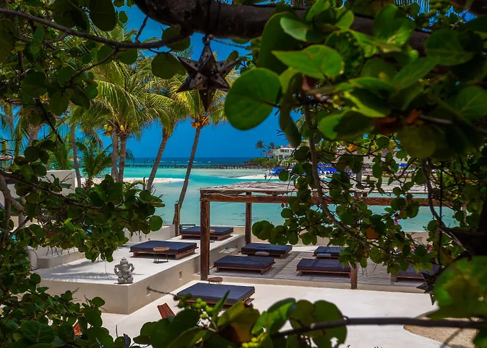 Hotel near College: Lotus Beach Hotel - Adults Only