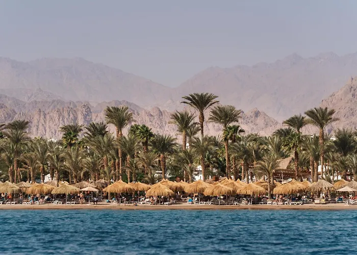 Hotel casinò: Jaz Sharm Dreams