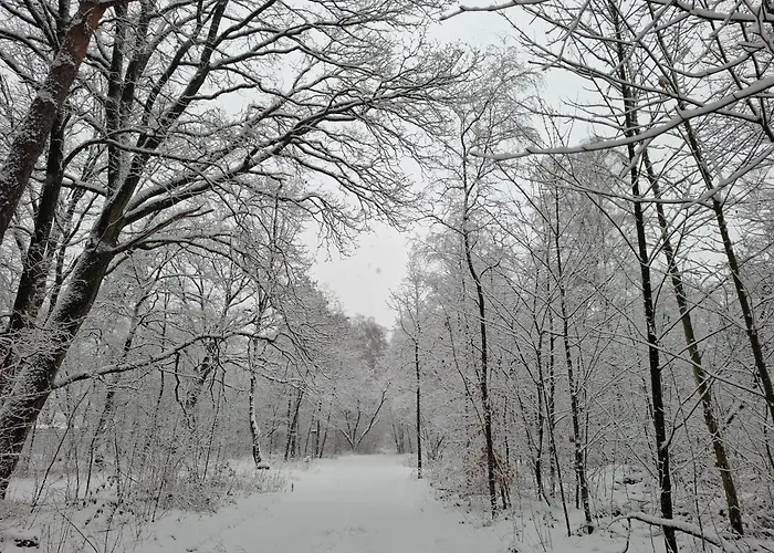 sche Heide