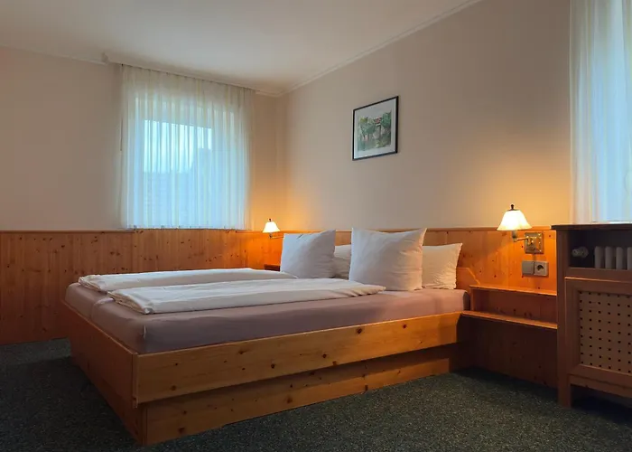3-Sterne-Hotel: Hotel Rebstock