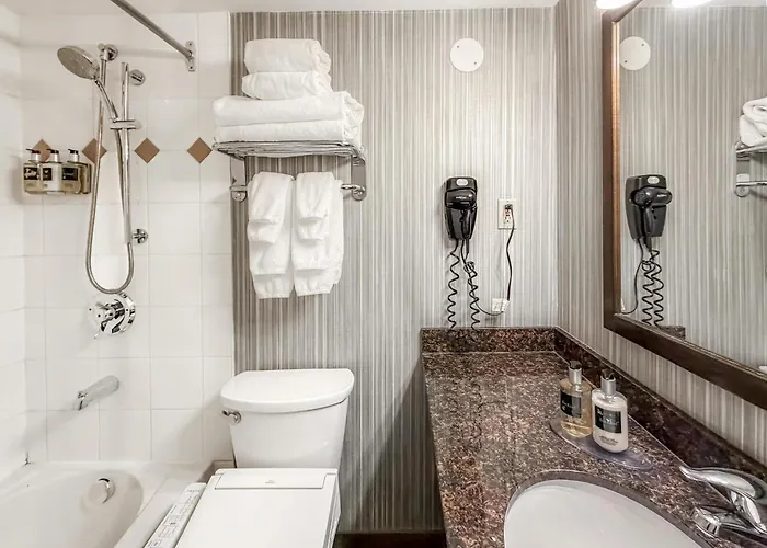 Hotel: Coast Calgary Downtown Hotel & Suites By Apa