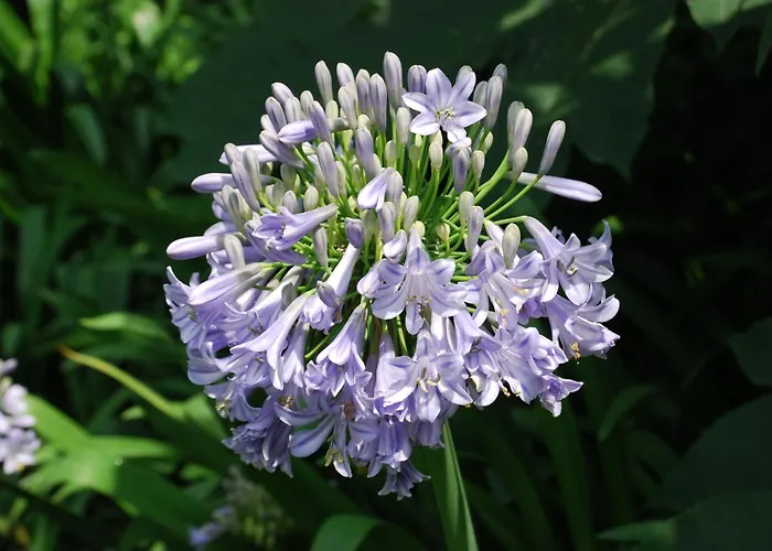 Romantisches Hotel: Villa Della Pergola Relais Et Chateaux