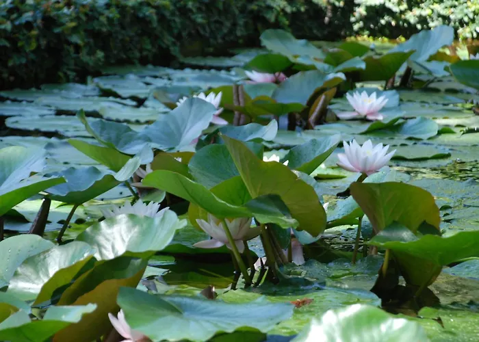 Romantisches Hotel: Villa Della Pergola Relais Et Chateaux