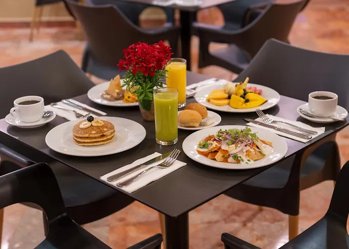 4 star hotel: Oasis Palm