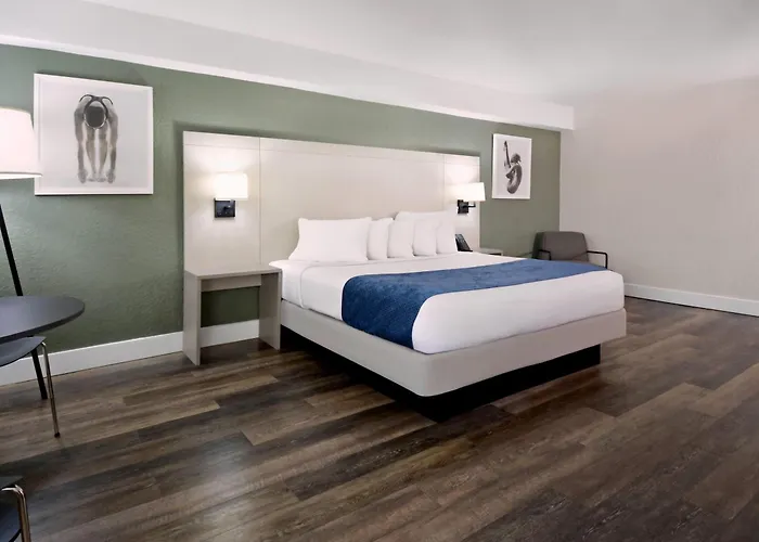 Hotel barato: Wyndham I-Drive Avanti Resort & Conference Center