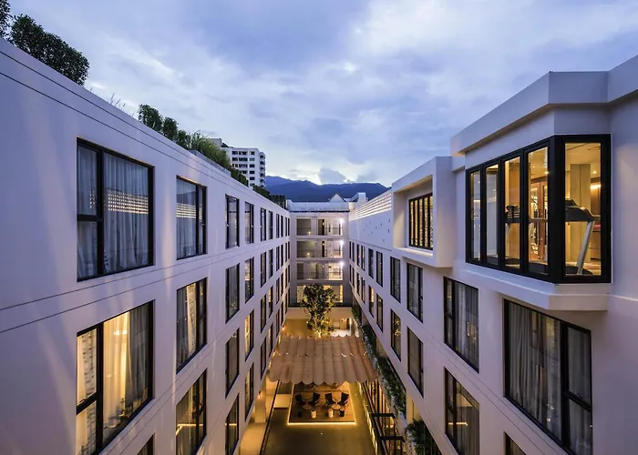 Pet Friendly hotel: Novotel Chiangmai Nimman Journeyhub