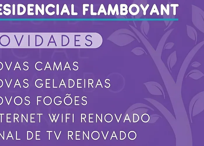  Flamboyant s Bombinhas
