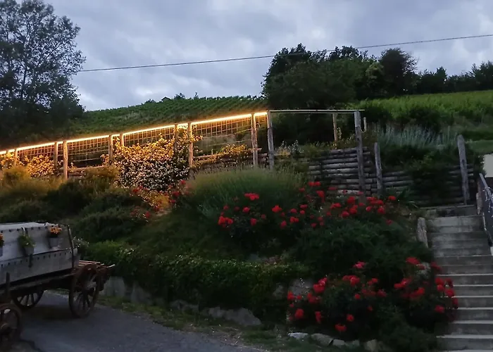 1929 Wine Food Relax Agriturismo