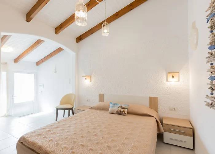 Bivalvia Beach Plus