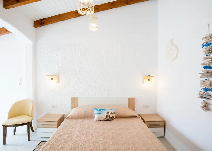 Bivalvia Beach Plus
