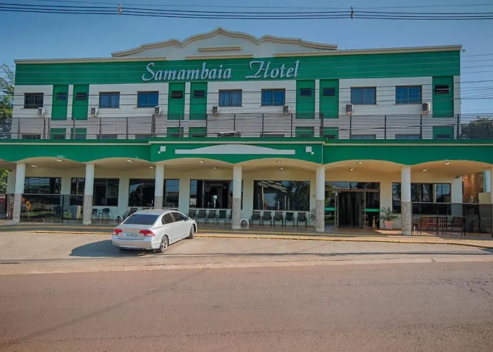Samambaia