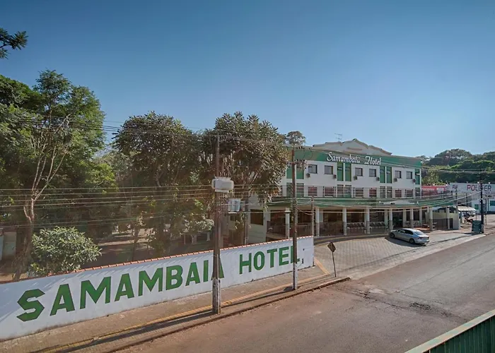 Samambaia