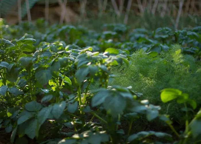 Albergo economico: Arcobaleno B&B