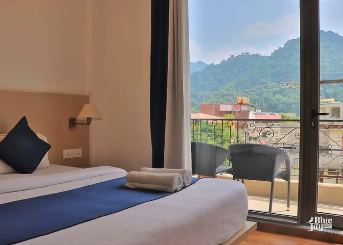 Hostel: The Blue Jay Hostel - Dorms & Rooms