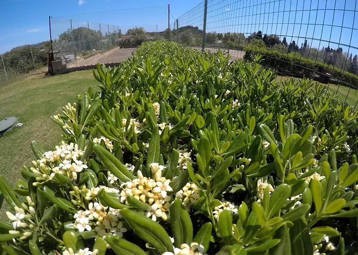 Hotel di lusso: Al Sole Di Pula