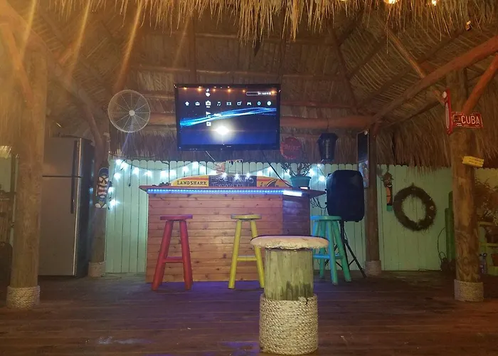 The Driftwood Oasis